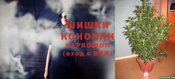 гашик Медвежьегорск