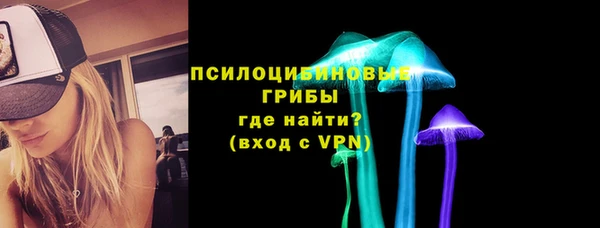 тгк Магас